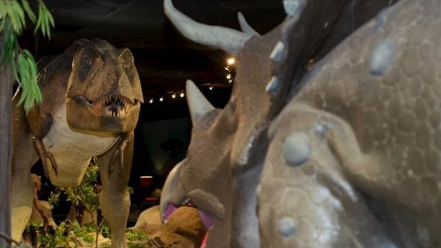 Las Vegas Natural History Museum-1